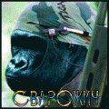 63-1.gif