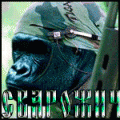 63-1.gif